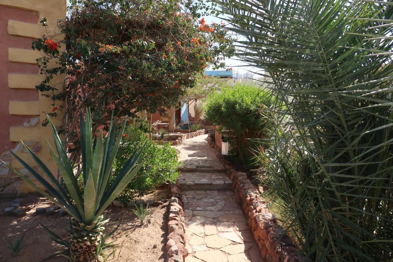 Bedouin Moon Village - Aqaba Al Burj ภายนอก รูปภาพ